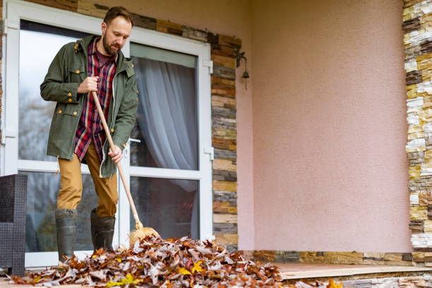 Best Affordable Junk Removal Services  in Gridley, IL
